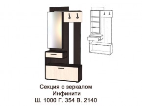 Секция с зеркалом в Заречном - zarechnyj.magazinmebel.ru | фото