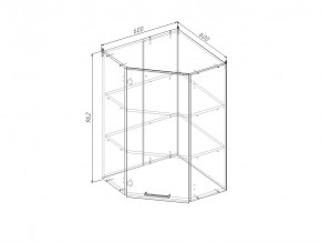 ВУП960 Модуль верхний Угловой МВУ9 в Заречном - zarechnyj.magazinmebel.ru | фото